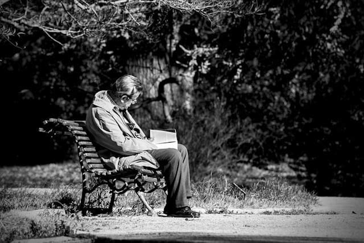 ベンチで本を読むシニアの男性